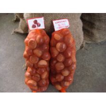 Fresh Big Size 60-80 Dandong Chestnut